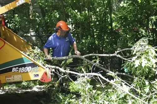 tree services Port Gibson
